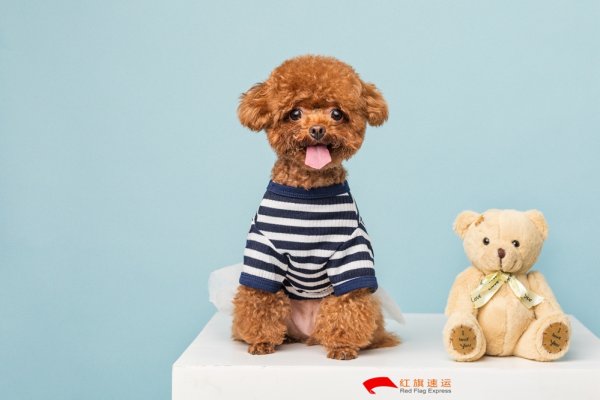 疫情期間香港商品如何轉(zhuǎn)運(yùn)到四川攀枝花呢？